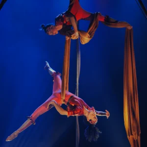 צילום: יגאל גופמן